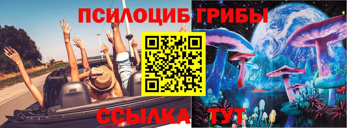 Псилоцибиновые грибы Cubensis  Псилоцибиновые грибы Psilocybe  магазин  наркотиков  Качканар  Вход с VPN 
