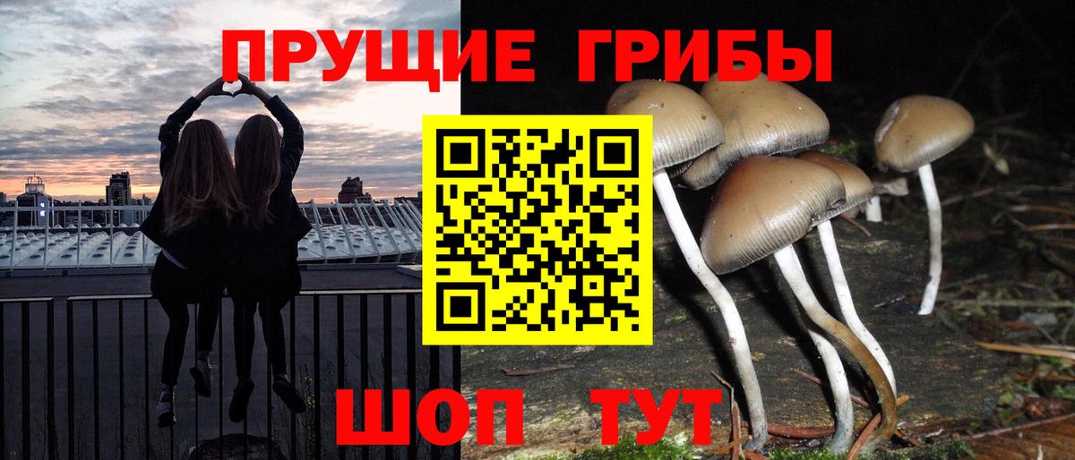Галлюциногенные грибы мухоморы Качканар